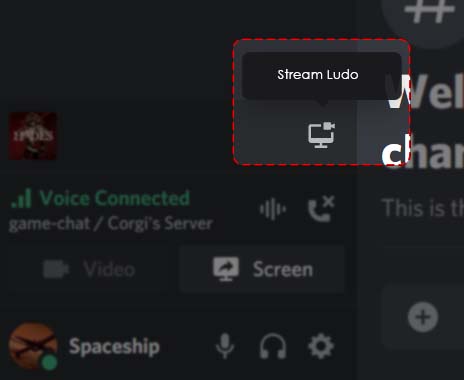 How to Go Live in Discord